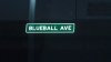 Blueball Avenue.jpg