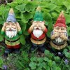 three gnomes.jpg