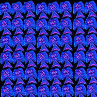 No Black Light Needed