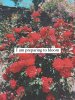 FB_IMG_1685820858156.jpg