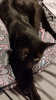 Screenshot_20231017-004740.png