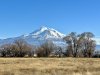IMG_0750.jpeg