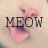 Shykittyxo