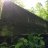 treeswinger10