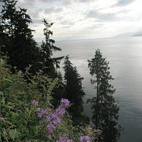 stanley park