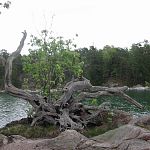 Swedish East Coast