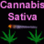 CannabisSativaPotLeafAndJointIcon