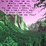 WishYouWereHereLyricsOnPsychedelicValleyBackground