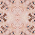WickedEyeTile