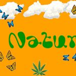 BeNaturalNatureSceneForXanga