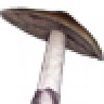160GramMushroomIcon