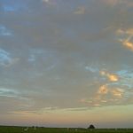 RIMG02
