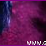midianbanner