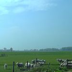 Sunny spring morning