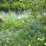 Sunny spring morning