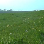 Sunny spring morning