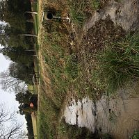 Creek clean up