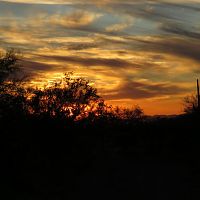Apache Junction, AZ