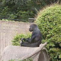 National Zoo in Washington DC