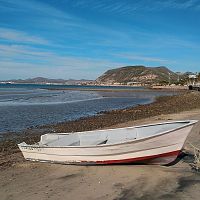 Washed ashore