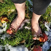 Barefoot around fallen apples