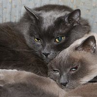 Ebony and Simon