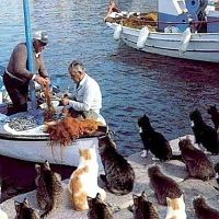 Bring in the Catch.
