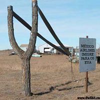 Ancient Cannon