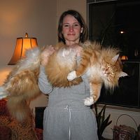Big Kitty