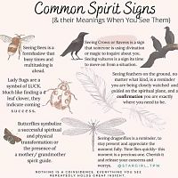 Common spirit signs
