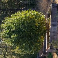 2019 grow