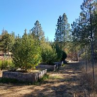 2019 grow
