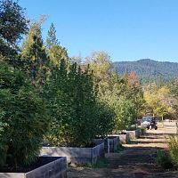 2019 grow