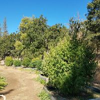 2019 grow