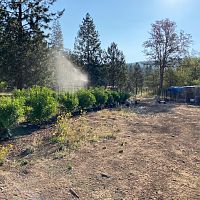 2021 grow   keepin it organic