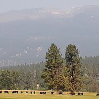 HT4