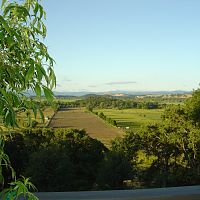 64 acres, 32,500 plants.