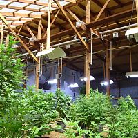 One of the greenhouses