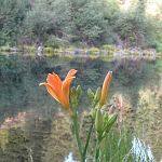 Also at our camp site. I thought this was pretty. :)
