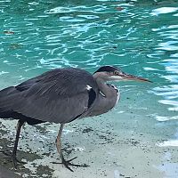 IMG-20220928-WA0011