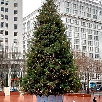 Christmas 1