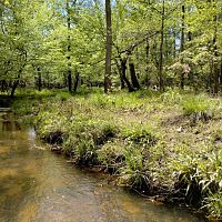 IMG_20230508_150340540_HDR