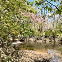 IMG_20230508_151556532_HDR