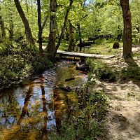 IMG_20230508_151609870_HDR