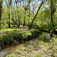 Short Hike, May 8th 2023