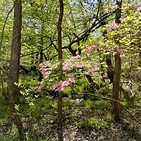 IMG_20230508_151711553_HDR