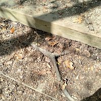 IMG_20230508_151843057_HDR