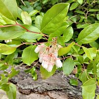 IMG_20230604_095304225_HDR