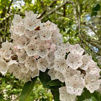 IMG_20230604_112604641_HDR