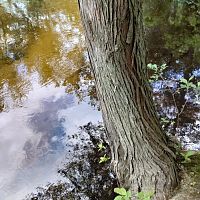 IMG_20230604_113146324_HDR